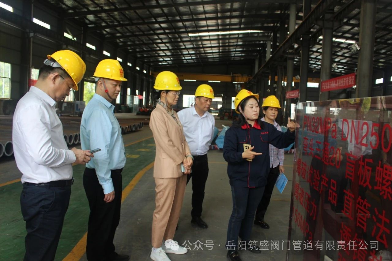 市領(lǐng)導蒞臨我公司考察調(diào)研